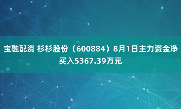 宝融配资 杉杉股份（600884）8月1日主力资金净买入5367.39万元