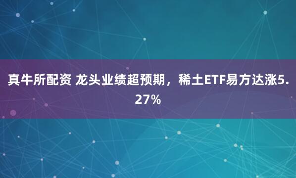 真牛所配资 龙头业绩超预期，稀土ETF易方达涨5.27%